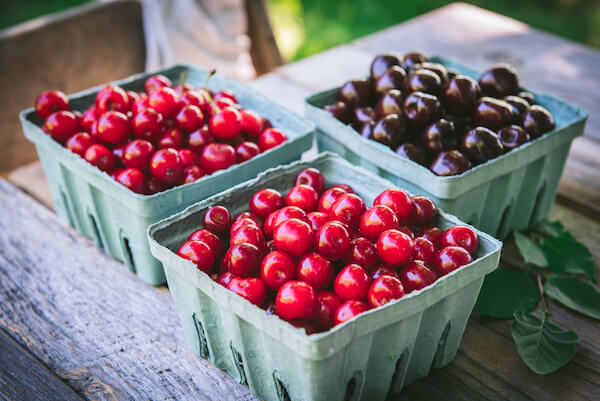 Cherries on a table in green quart cartons.