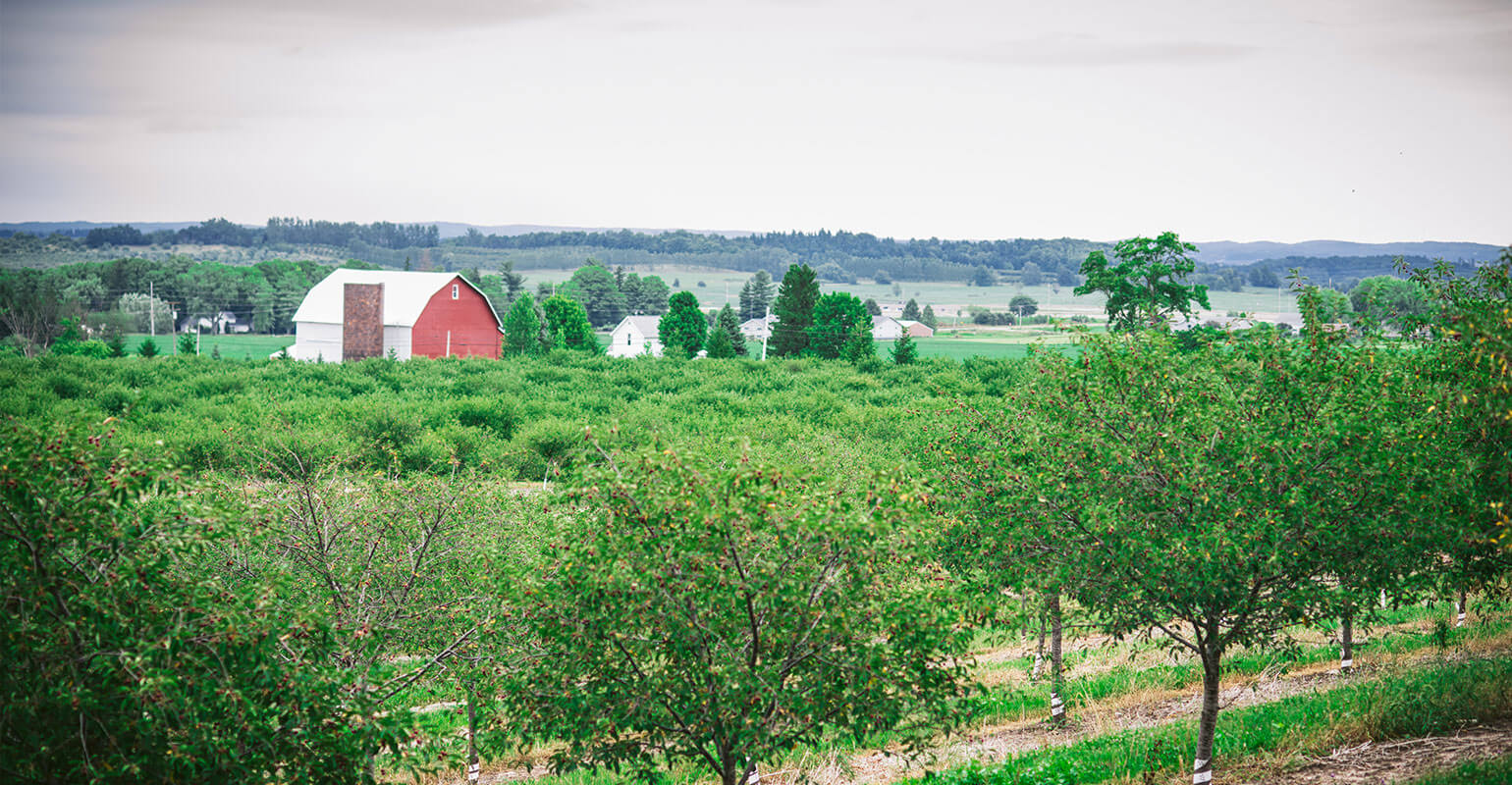 orchard view of barn